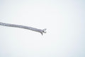 The Celestial Chevron: 925 Sterling Silver Diamond-Cut Bracelet