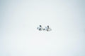 The North Star Prism Studs – 925 Sterling Silver