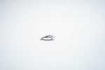 Dual Orbit: The Pavé & Pearl Synchrony Ring