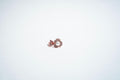 Petal Bloom Pearl Ring: Nature’s Radiance
