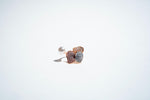 The Petal Bloom Pearl Statement Ring