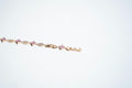 The Royal Amethyst Square Link Bracelet