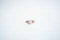 The "Luminous Grace" Pearl & Pavé Statement Ring