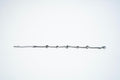 The Celestial Orb Link Bracelet – 925 Sterling Silver