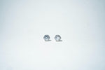The Crown Solitaire Studs – 925 Sterling Silver